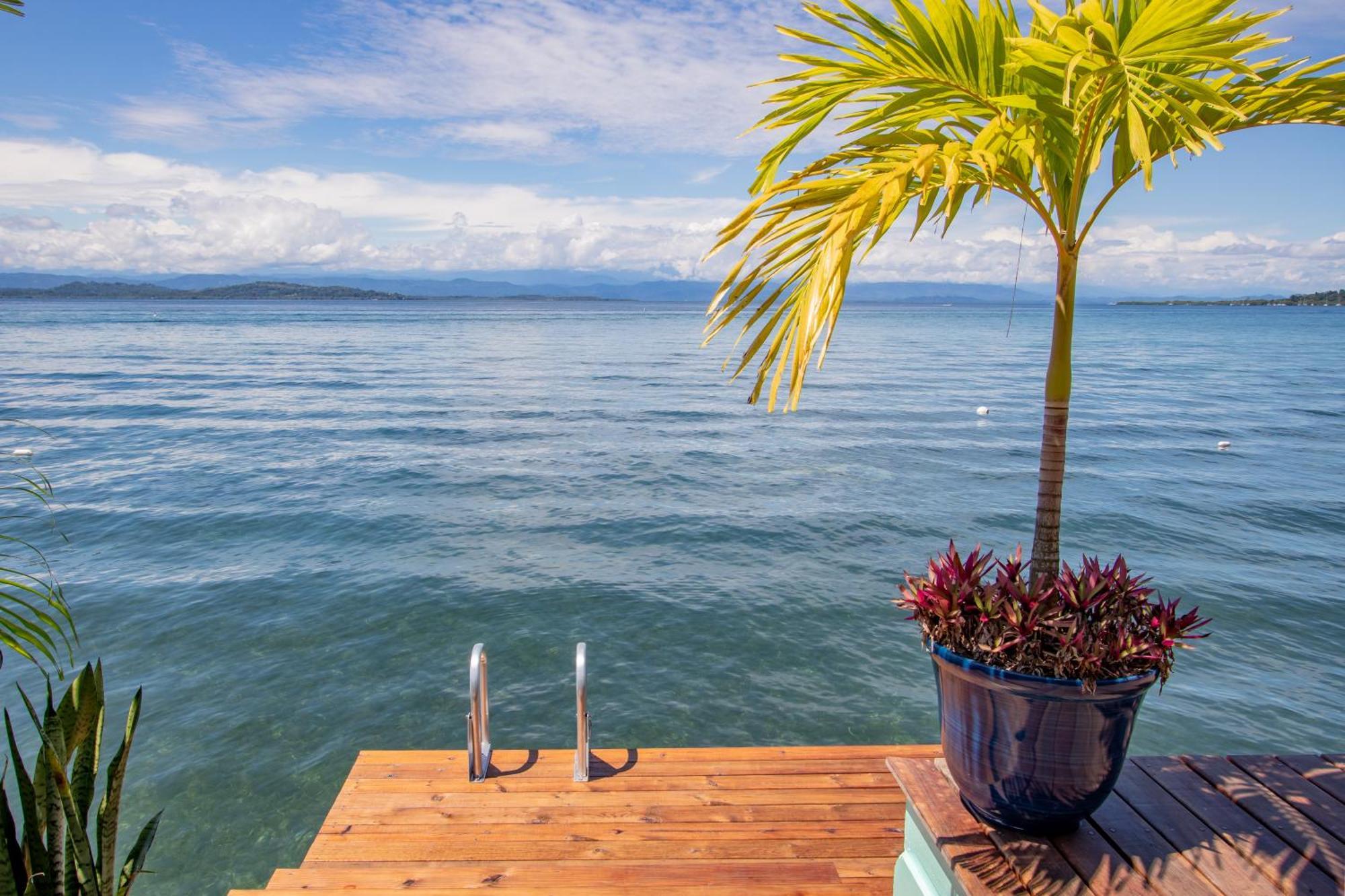 Sol Bungalows โบกัสทาวน์ ภายนอก รูปภาพ