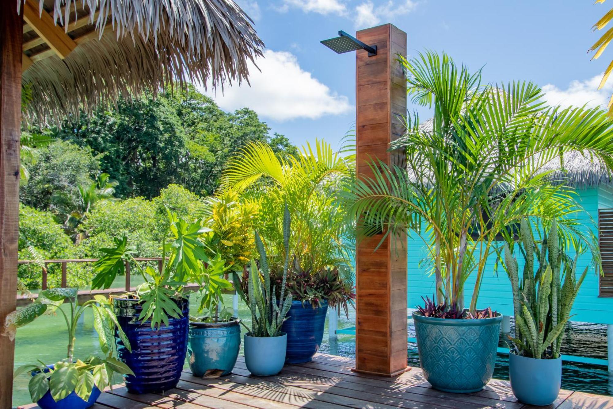Sol Bungalows โบกัสทาวน์ ภายนอก รูปภาพ